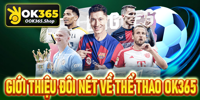 Giới thiệu đôi nét về thể thao OK365